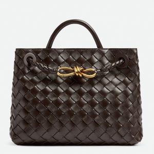 Contrefaçon petit sac Bottega Veneta Andiamo en Fondant