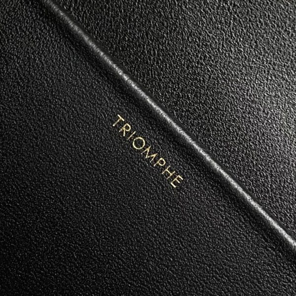 Faux Celine Triomphe Moyen Sac en noir – Image 2