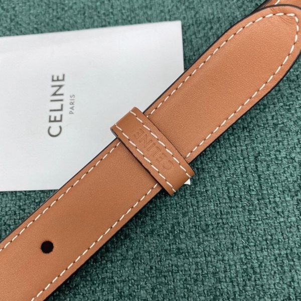 Faux Celine Triomphe Moyen Sac en marron – Image 10