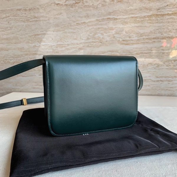 Réplique Celine Classic Box Adolescent Sac en amazone – Image 10