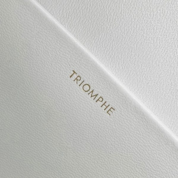 Faux Celine Triomphe Moyen Sac en blanc – Image 8
